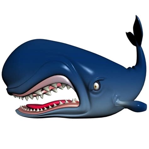 Animation Whale - ClipArt Best