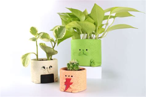 Las Mejores Plantas Para Macetas Pequeñas Sun And Grow