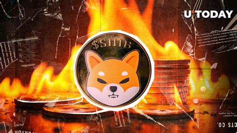 Shiba Inu SHIB Burn Rate Shoots Up 33 818 What S Going On