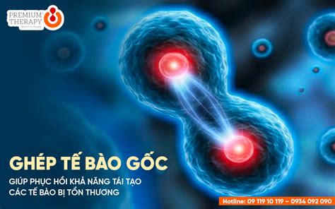 Cấy ghép tế bào gốc tự thân là gì Ghép tế bào gốc tự thân ở đâu