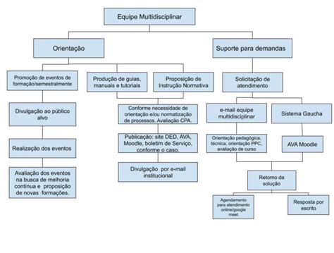 Fluxos Equipe Multidisplinar