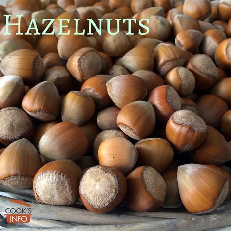 Kind Of Nuts Hazelnuts Informacionpublicasvetgobgt