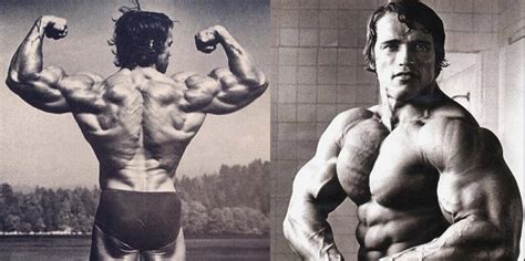 Arnold Schwarzenegger Volume Workout Routines Fitness Volt