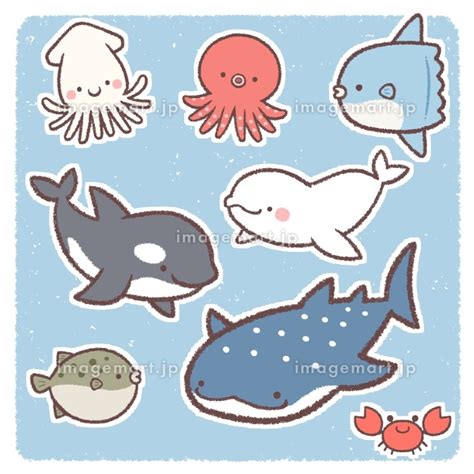 海の生き物セット背景付きのイラスト素材 159025234 イメージマート