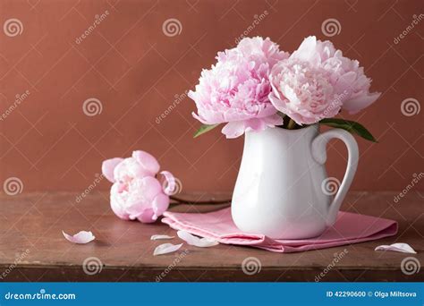 Beautiful Pink Peony Bouquet In Vase Stock Photo Image Of Flower