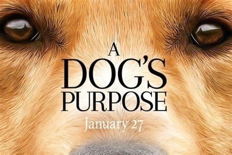 A Dog's Purpose - Cast, Ages, Trivia | Famous Birthdays