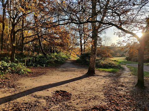 Woodland At Habberley Valley Mat Fascione Geograph Britain And Ireland