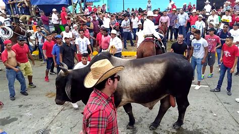 Toros De Tlacotalpan 2019 Samir Santos YouTube