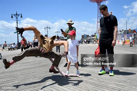 Rat Island New York Photos and Premium High Res Pictures - Getty Images