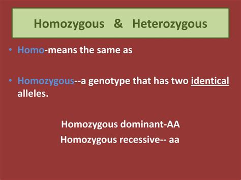 Difference Between Homozygous And Heterozygous