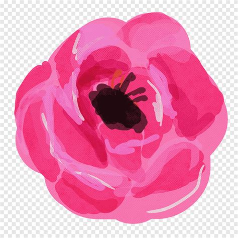 Acuarela Flores Vintage Ilustraci N De Flor Rosa Png Pngegg