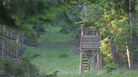 Bei Fesselspiel zurückgelassen 51 Jähriger verschnürt im Wald gefunden