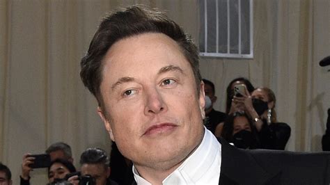 Le Tribunal Des Pétitions Pour Enfants Transgenres Delon Musk Demande