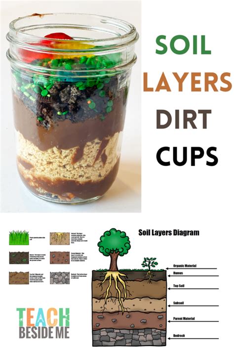 Soil Layers Worksheet For Kids