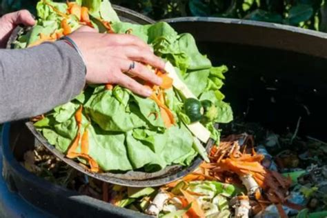 Waduh Sampah Makanan Penyumbang Terbesar Timbunan Sampah Di Indonesia