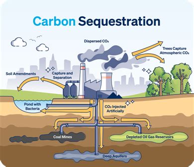 Unlocking the Potential of Carbon Capture and Sequestration: A ...