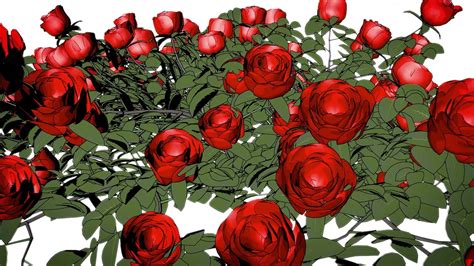 Download Flowers Roses Red Royalty Free Stock Illustration Image