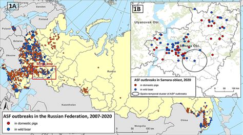 Frontiers Risk Factors Of African Swine Fever In Domestic Pigs Of The