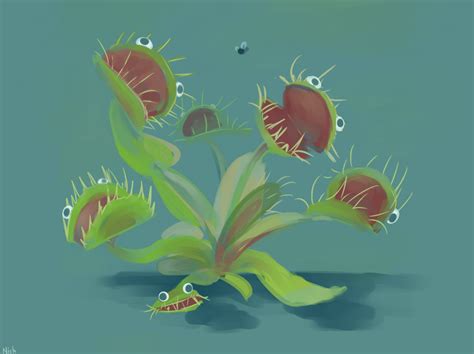 Googly Eyez Venus Fly Trap By Nich0777 On Deviantart