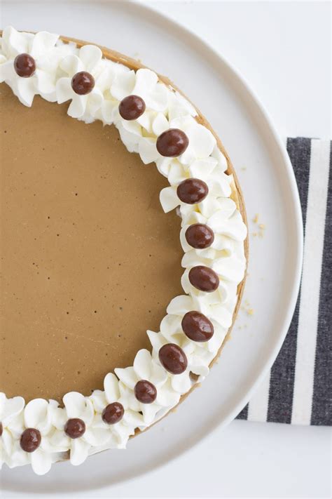 Cappuccino Cheesecake Recipe Girl