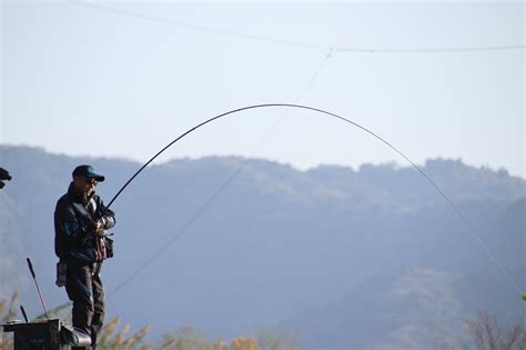 King 南康史流！大型と超大型は違う？乗っ込みチヌに会う方法