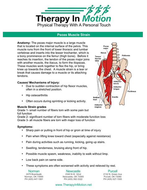 Pdf Psoas Muscle Strain Therapy In Motion Physical Therapy