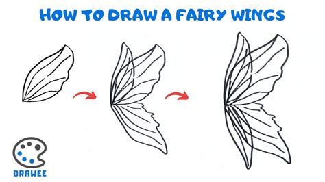 How To Draw Fairy Wings Step By Step - Infoupdate.org