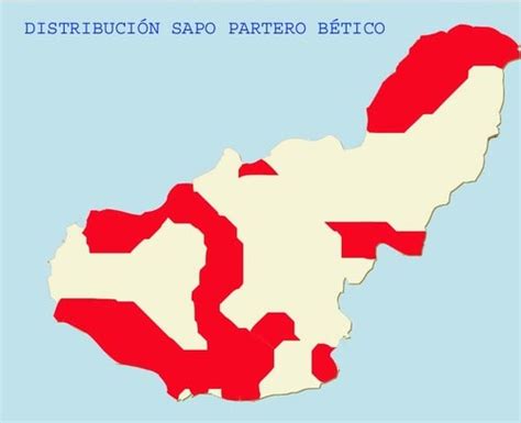 Proyecto Sierra De Baza Ficha T Cnica Del Sapo Partero B Tico