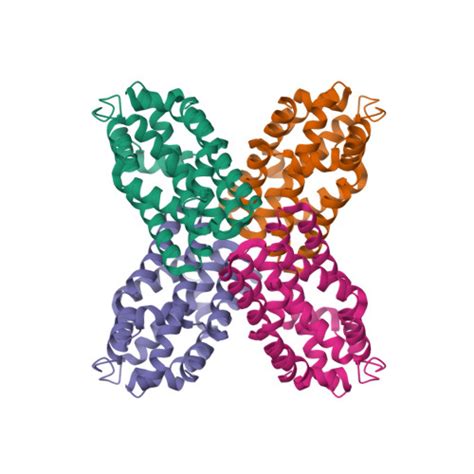 RCSB PDB 2RD3 Crystal Structure Of TenA Homologue HP1287 From