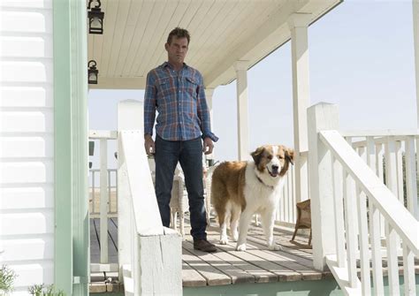 Photo De Dennis Quaid Mes Autres Vies De Chien Photo Dennis Quaid