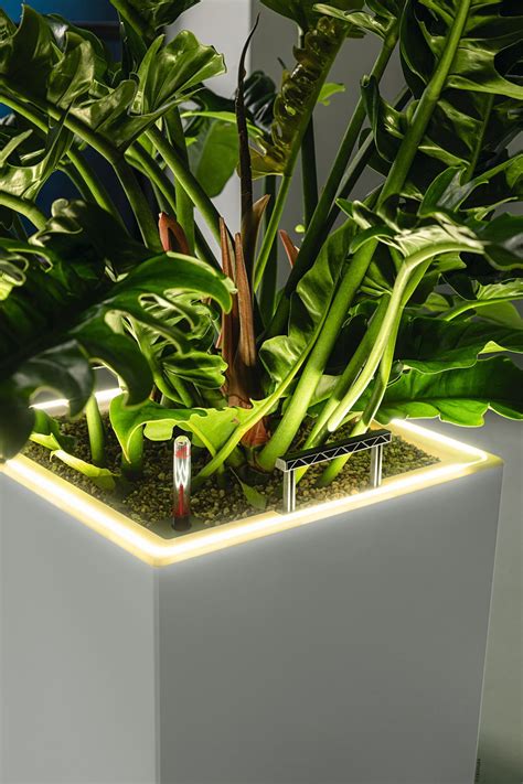 Lechuza Canto Premium High Planter Led Interismo Uk