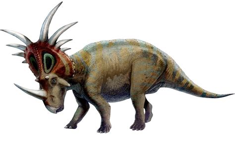 Stryacosaurus Triceratops And Kosmoceratops Are All Ceratopsids Or