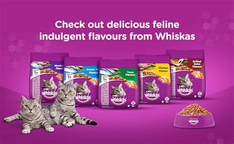 Whiskas Adult Years Dry Cat Food Ocean Fish Flavour Kg