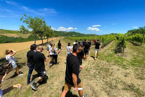 Tenuta La Canosa Storia Di Vino E Passione Italia A Tavola