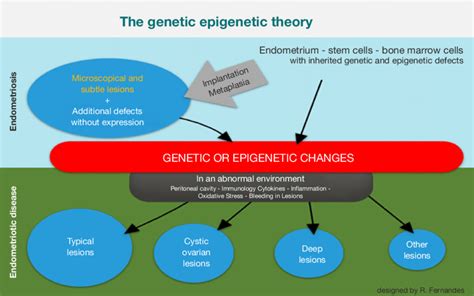 The Genetic Epigenetic Theory Reprinted With Permission A Set