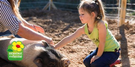 Les sorties familiales proposées par le réseau Bienvenue à la ferme en