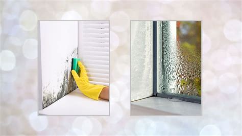 How to remove mould from walls – your expert guide | HELLO!