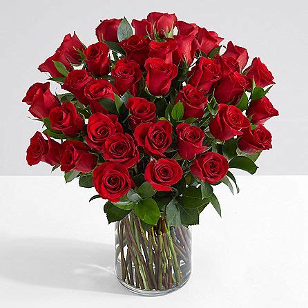 Crimson | Premium Quality Roses in a Vase | The Flower Studio