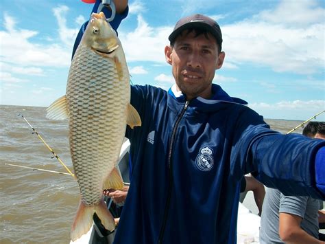 Guia De Pesca En Berisso Altapesca Terminamos Febrero Con Excelentes