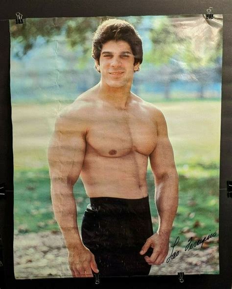 LOU FERRIGNO 1979 VINTAGE POSTER TV SERIES THE HULK Rare HTF Vaughan