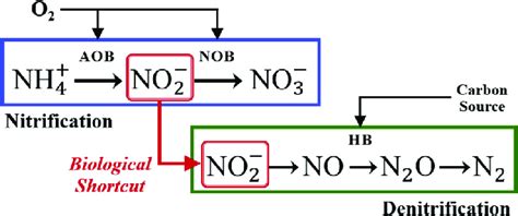 Nitrification