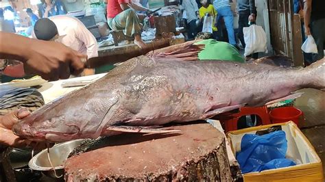 Amazing Fish Cutting Giant Rita Fish Cutting In Bangladesh Fish Market