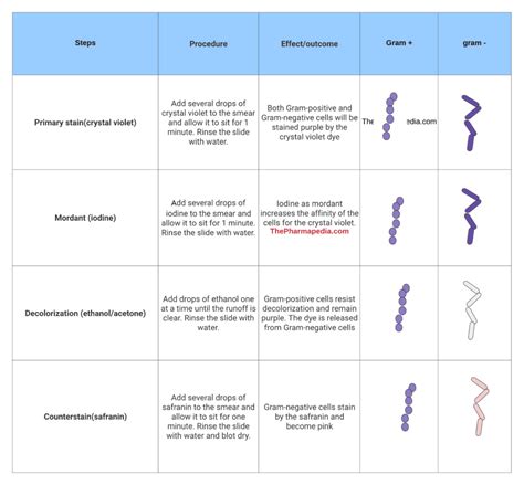 Differential Staining Gram Staining Acid Fast Staining Technique