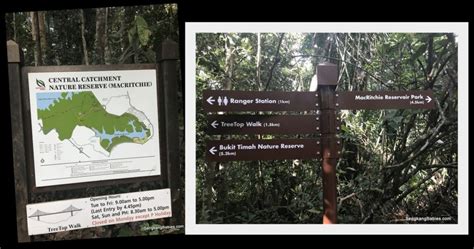 macritchie reservoir trail map Archives - Sengkang Babies