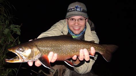 Maine Brook Trout Fall Fishing Is On Maine River Guides Maine