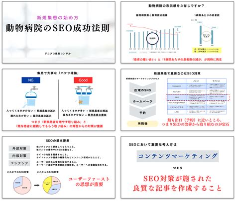 集患対策の緊急性診断チェックリスト02 アニプロ