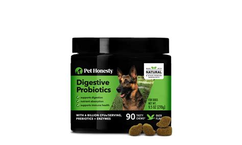 Best Dog Probiotics for 2022 - Gainesville Times