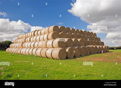 Stacked Round Hay Bales Uk Stock Photo 88079109 Alamy