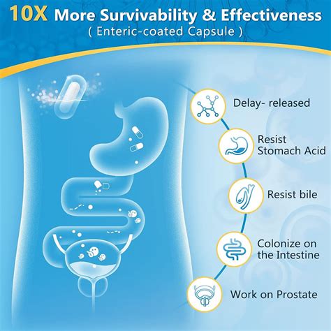 Probiotics and the Innate Immune System – Nature Target