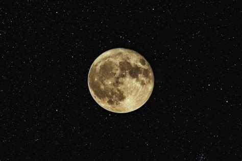 Il Significato Spirituale Della Luna Piena Del Castoro Di Novembre Signo